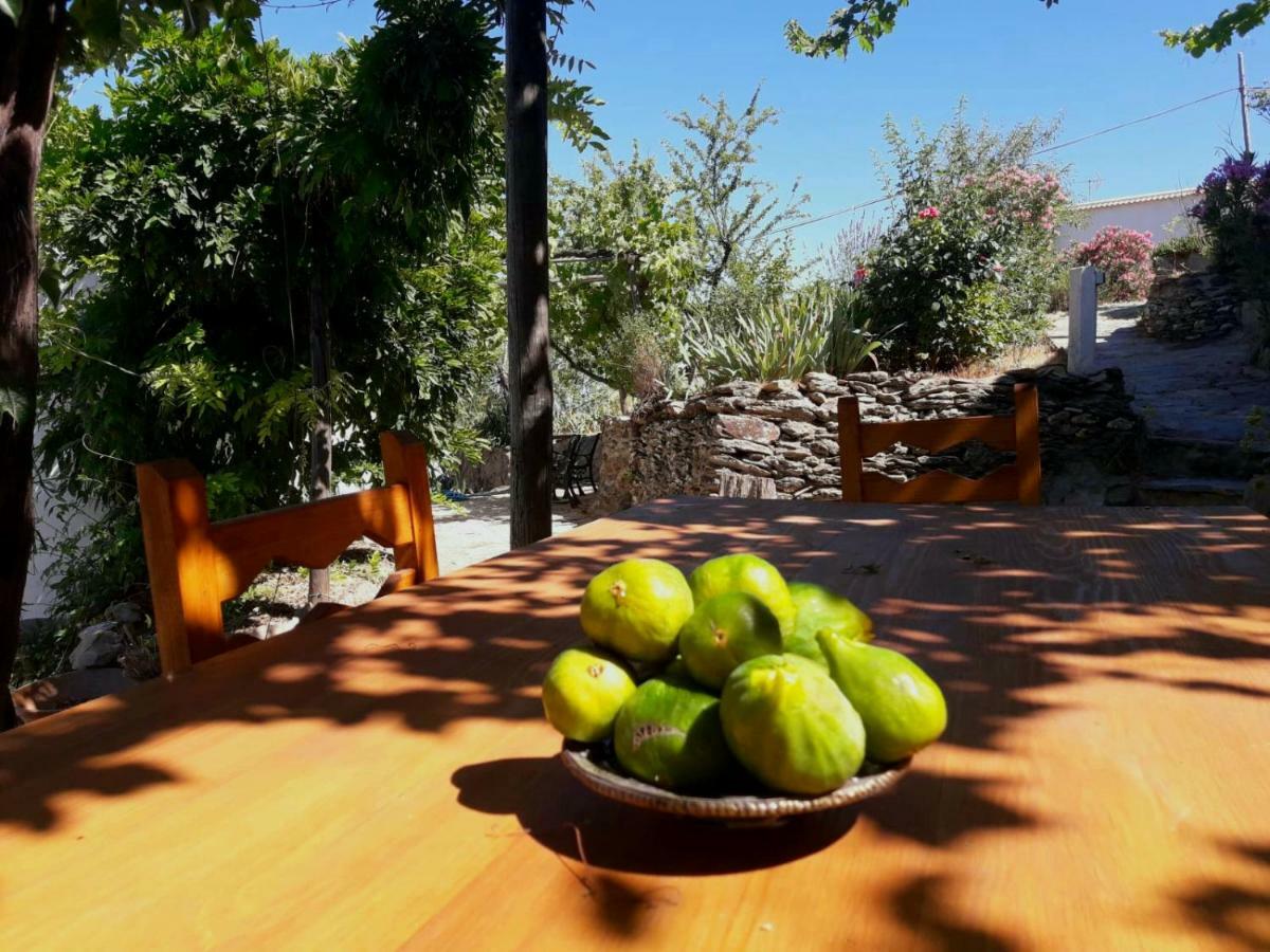Cortijo Los Maximos Turon Exterior foto